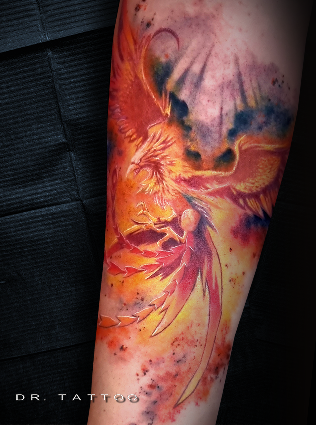 CUADRICULA AVE FENIX